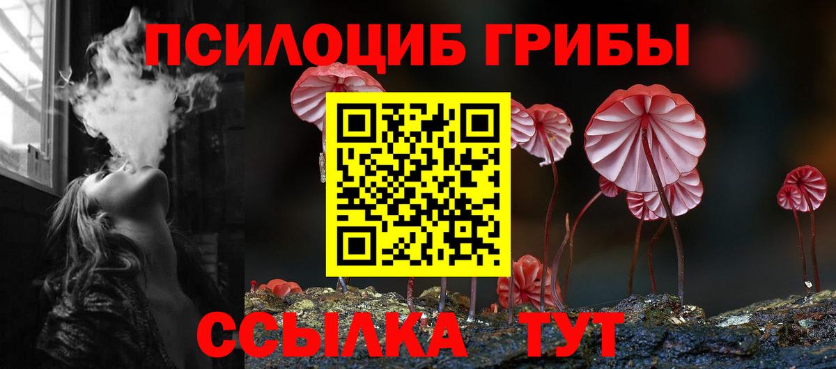 Псилоцибиновые грибы Psilocybe  Вход с VPN  Чайковский 